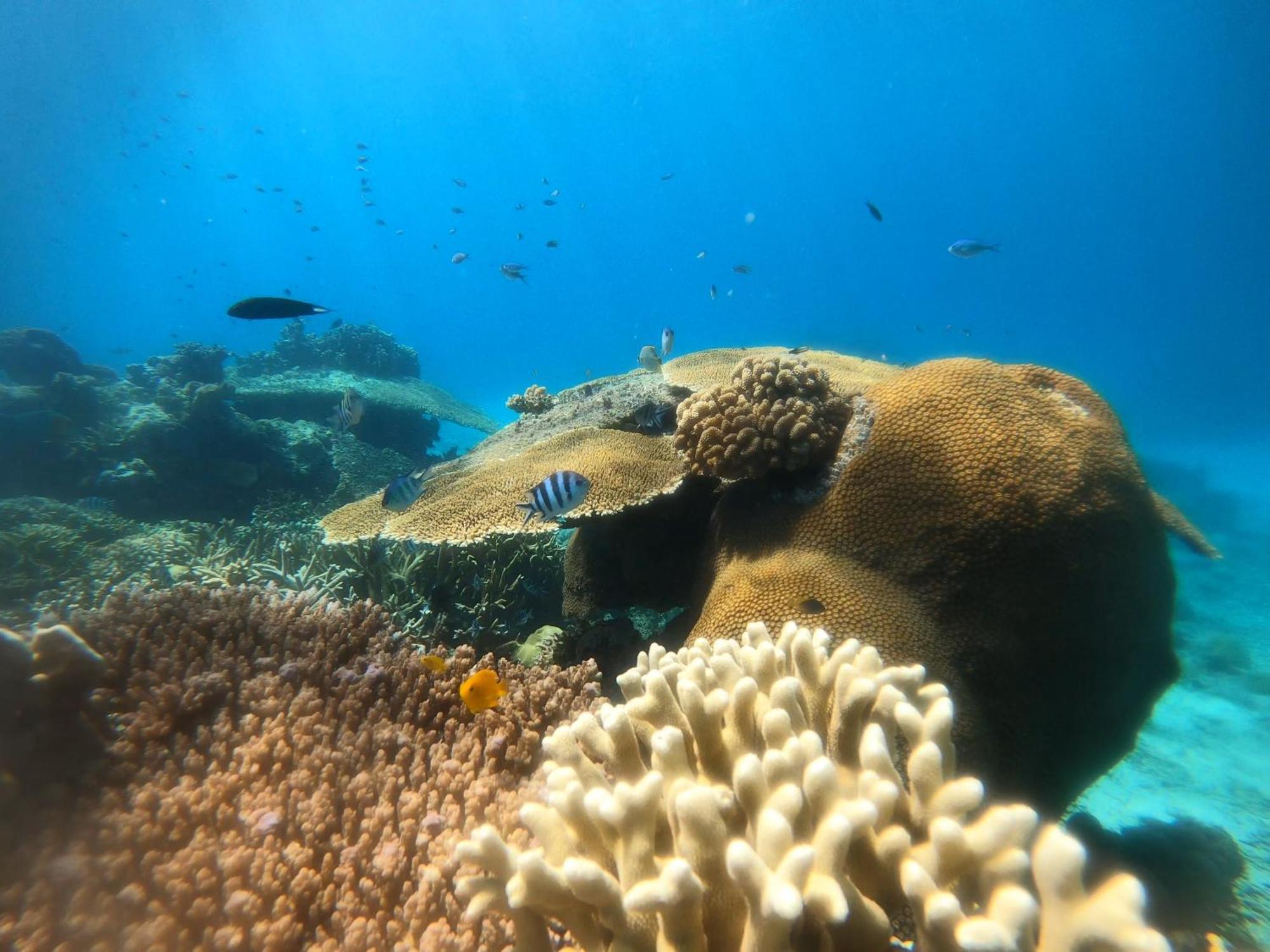 Natuna Dive Resort Ranai Exterior photo